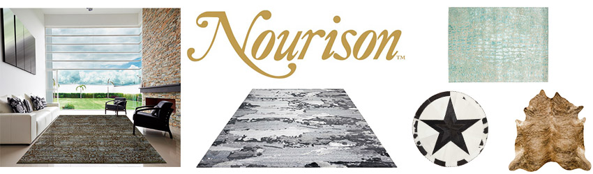 Nourison Nourison